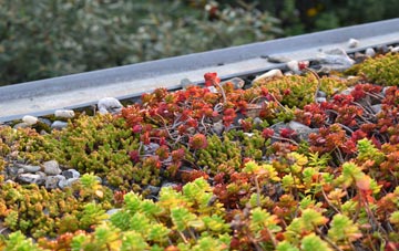 the cost of Keir Mill green roof installation