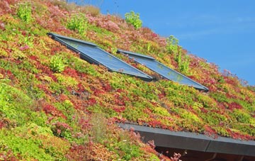 Keir Mill living roof systems